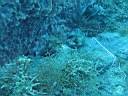 051202-mi_063.JPG