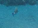 051202-mi_089.JPG