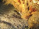051202-mi_110.JPG