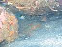 051202-mi_111.JPG