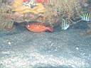 051202-mi_112.JPG