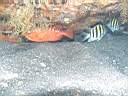 051202-mi_113.JPG