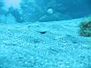 051202-mi_124.JPG