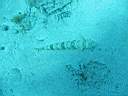 051203-ma_001.JPG