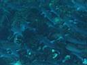 051203-ma_027.JPG