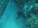 051203-ma_038.JPG