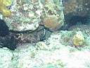 051203-ma_057.JPG