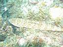 051203-ma_060.JPG