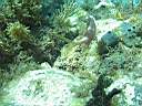 051203-ma_070.JPG