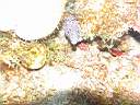 051204-ma_024.JPG