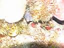 051204-ma_025.JPG