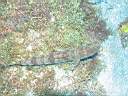 051204-ma_028.JPG