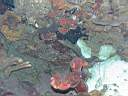 051206-ma_015.JPG