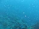 051206-ma_024.JPG