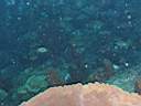 051206-mi_008.JPG