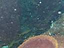 051206-mi_009.JPG