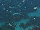 051206-mi_010.JPG
