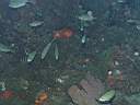 051206-mi_017.JPG