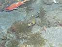 051206-mi_018.JPG