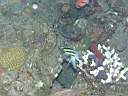 051206-mi_026.JPG