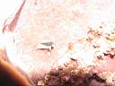 051206-mi_027.JPG