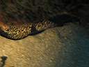 051206-mi_034.JPG