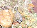 051206-mi_036.JPG