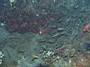 051206-mi_057.JPG