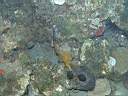 051206-mi_064.JPG
