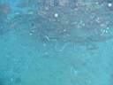 051207-mi_006.JPG