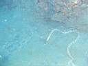 051207-mi_007.JPG