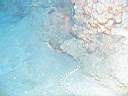 051207-mi_008.JPG