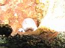 051207-mi_028.JPG