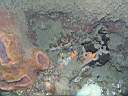 051207-mi_036.JPG