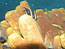051207-mi_049.JPG