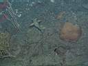 051208-mi_001.JPG
