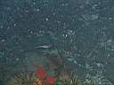 051208-mi_005.JPG