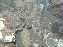 051208-mi_016.JPG