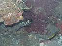 051208-mi_021.JPG