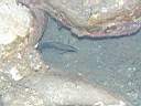 051208-mi_026.JPG
