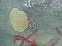 051211-mi_007.JPG