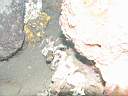 051211-mi_038.JPG