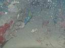 051211-mi_071.JPG
