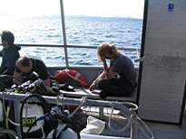 cb_016.JPG