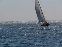 cb_031.JPG