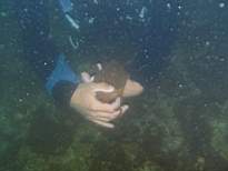 cb_070.JPG