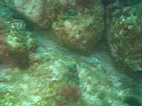 cb_106.JPG
