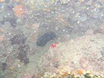 cb_118.JPG