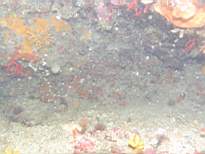 cb_119.JPG