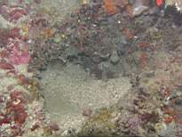 cb_120.JPG